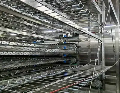 Bakery Proofing Equipment 