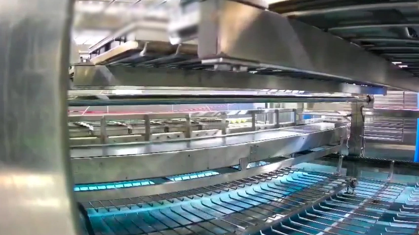 Automatic Swing Tray Proofing System