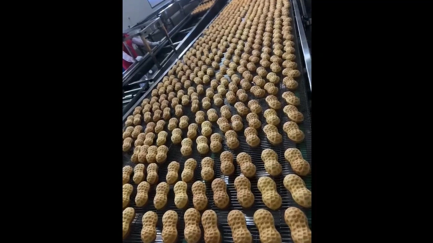 Industrial Baking Trays for Peanut-Shaped Cake