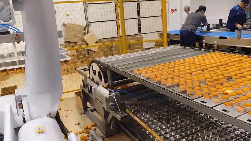 Cupcake Production Line