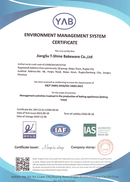Environmental Management System (EMS) Certificate