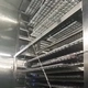 Automatic Swing Tray Proofing System 